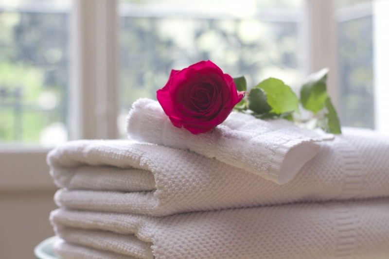 chambre-hote-LE LUC-min_towel_rose_clean_care_salon_spa_white_bath-731641